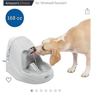 Drinkwell Platinum pet fountain ⛲️